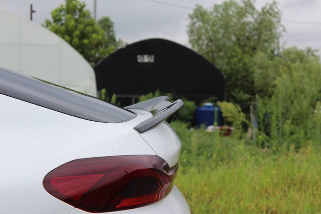 Korea BMW X6M F96 LCI Street Build