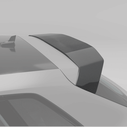 Audi RS3 8Y Sportback Carbon Fiber Roof Spoiler