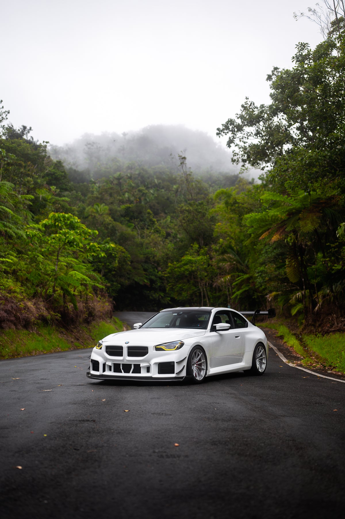 NA G87 M2