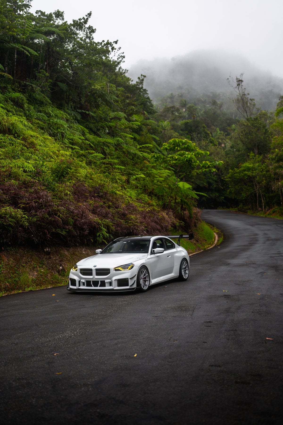 NA G87 M2