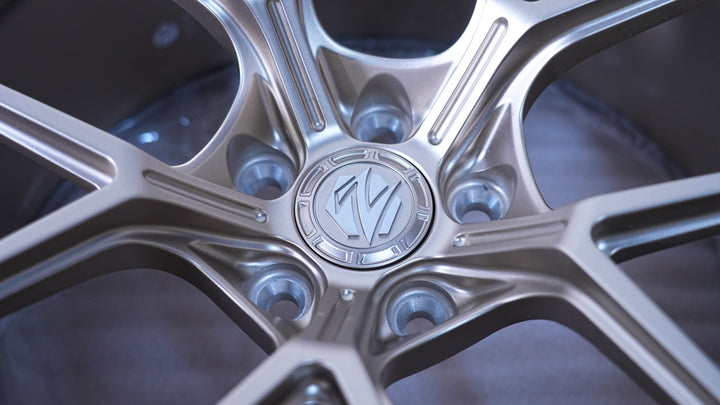 W100 — Centre cap and spoke roots