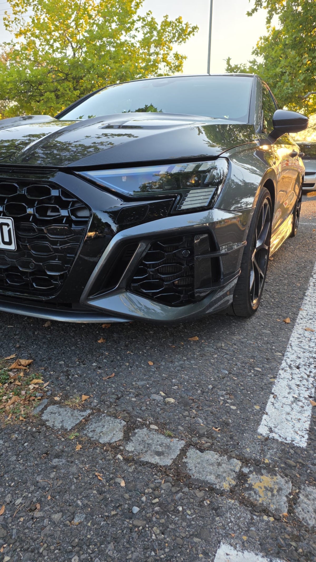 DE Audi RS3 8Y Sportback Track Build